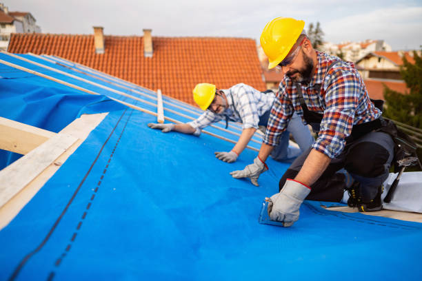 Best Roof Waterproofing Services  in Rayre, MO