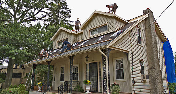 Best Flat Roof Repair Services  in Rayre, MO