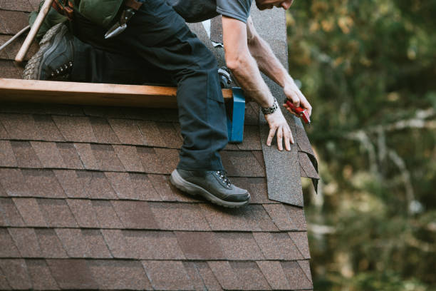 Best Roof Gutter Cleaning  in Rayre, MO